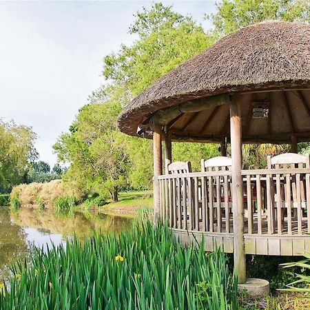 Northlands Farm - Old Farm Cottage شيشستر المظهر الخارجي الصورة